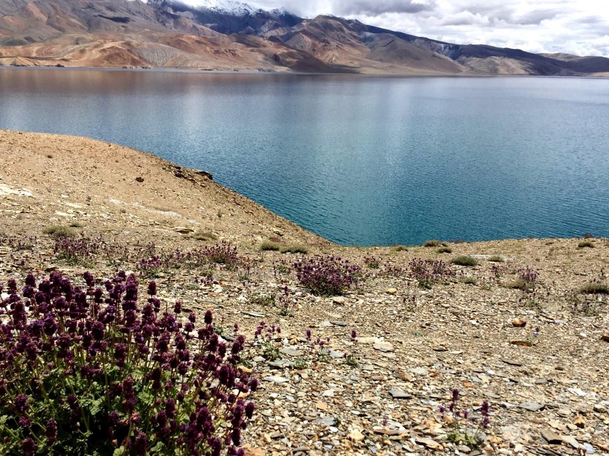 Tsomoriri Hotel Lake View Karzok Bagian luar foto